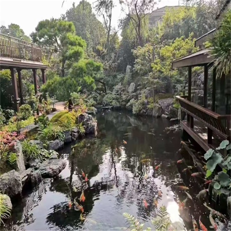玉田假山植物小鱼池